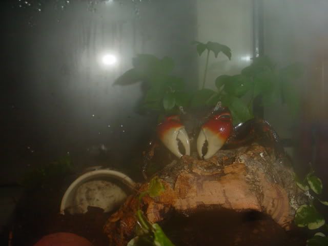 [Bild: DSC00015.jpg]