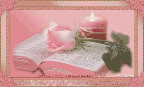 PinkRose/Bible/Candle Pictures, Images and Photos