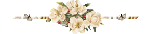 Dogwood divider Pictures, Images and Photos