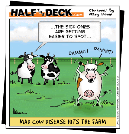 2 page essay on the mad cow disease 2 page essay on the mad cow disease