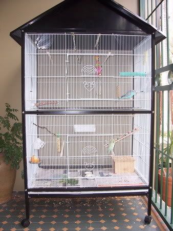 cage.jpg