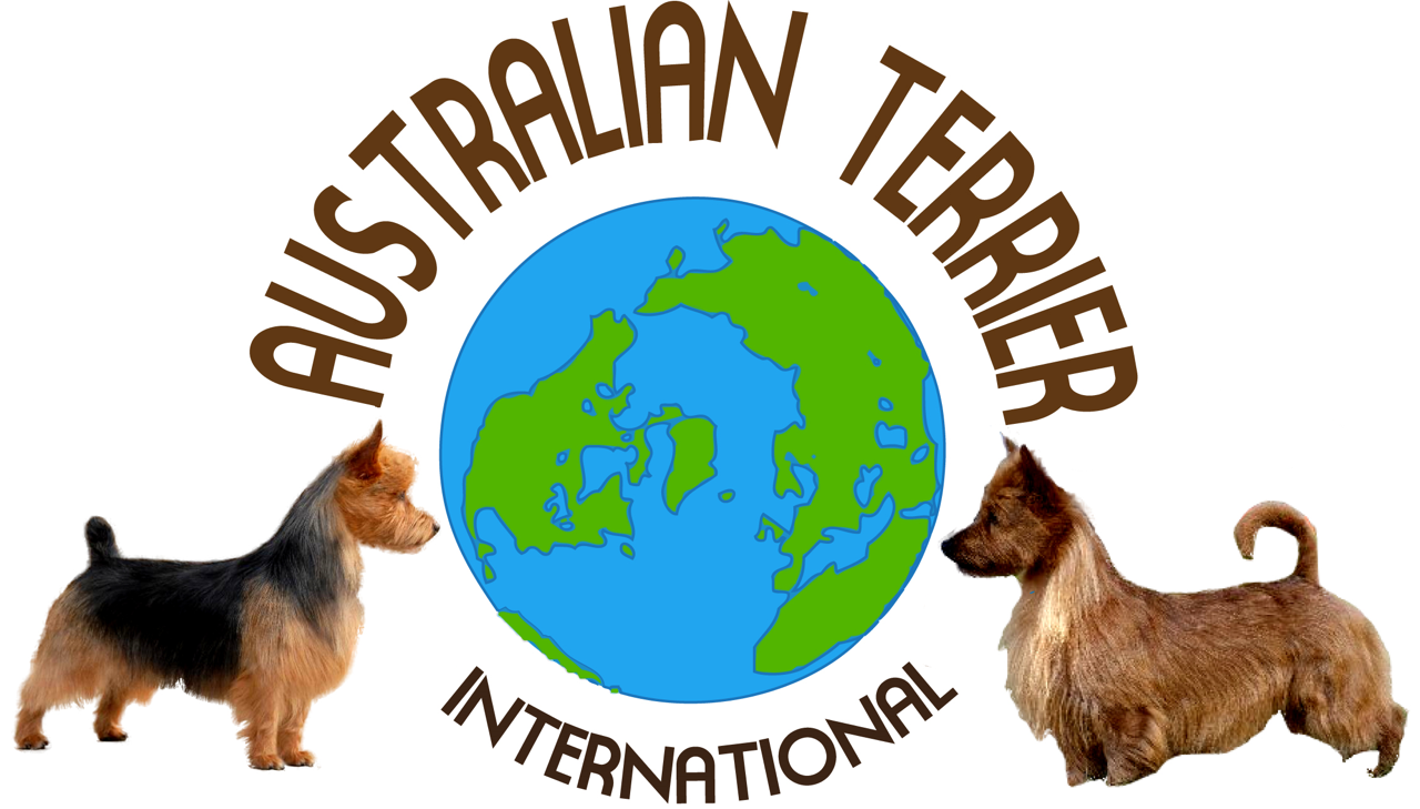 Australian Terrier International