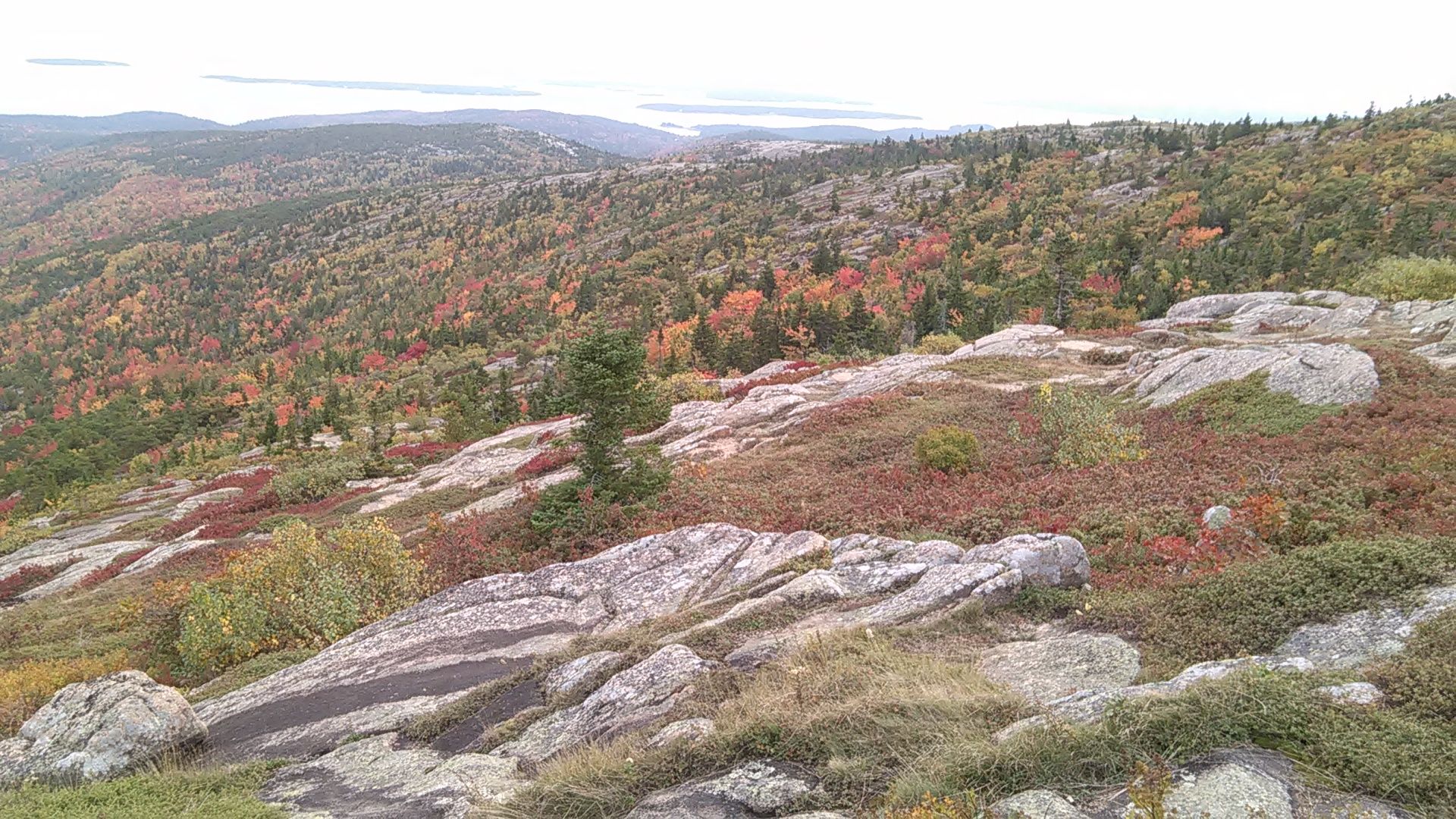 View from Mt Cadillac, Acadia National Park photo IMG_20161008_154319.jpg