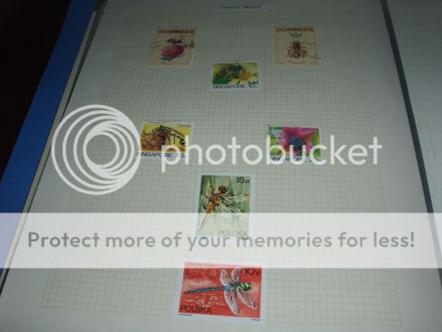 WORLD STAMPS COLLECTION IN STOCKBOOK AND ALBUM  