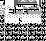 [PokeCommunity.com] The Pokemon Time Glimmers trilogy
