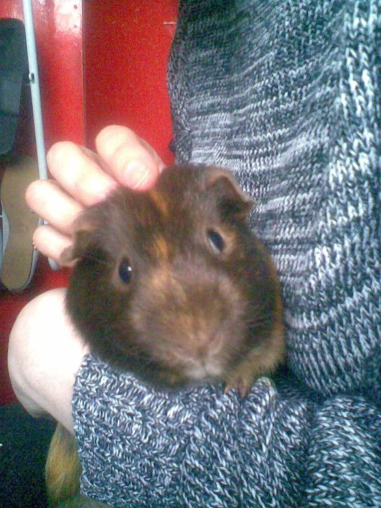 Image011.jpg