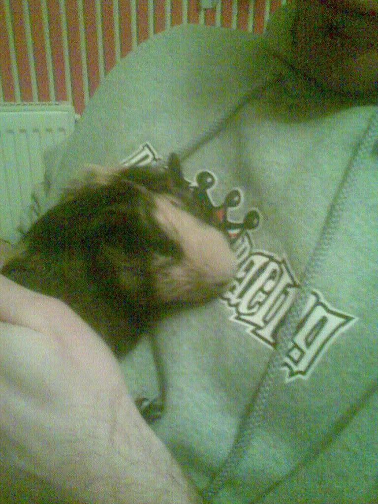 Image013.jpg