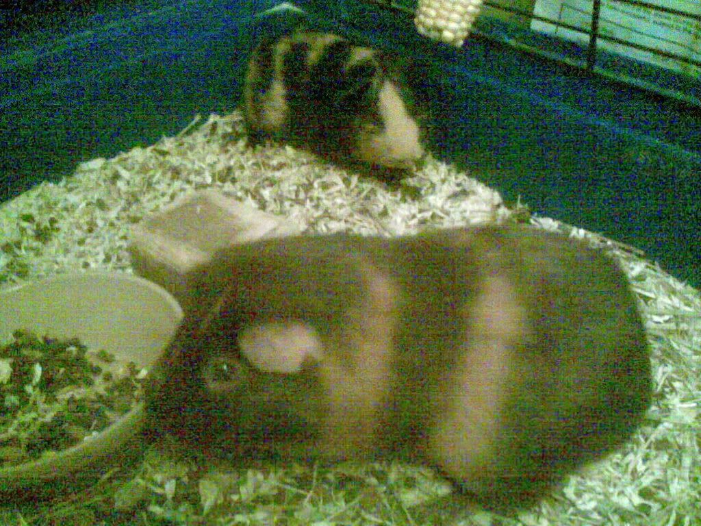 Image014.jpg