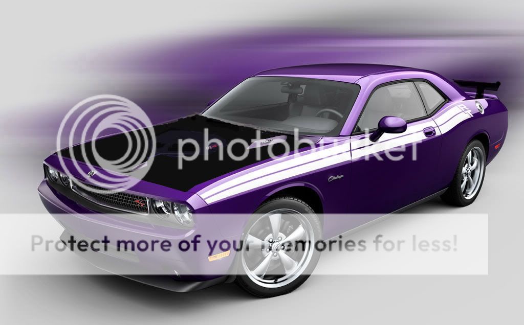 PCP with white stripes and matte hood | Dodge Challenger Forum