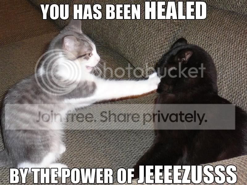 KittyHealer.jpg