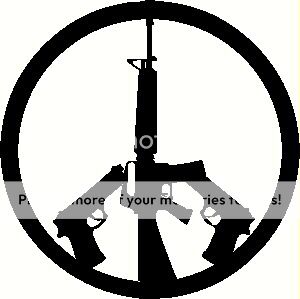 2ND Amendment Peace Decal, sticker, RKBA, Obama  