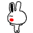 :cute-rabbit-2-007.gif: