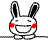 :cute-rabbit-2-059.gif: