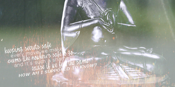 1-Reese-20_1 photo Reese39_Banner.png