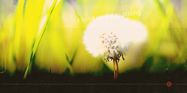 1-Reese-21_1 photo Reese41_Banner.png