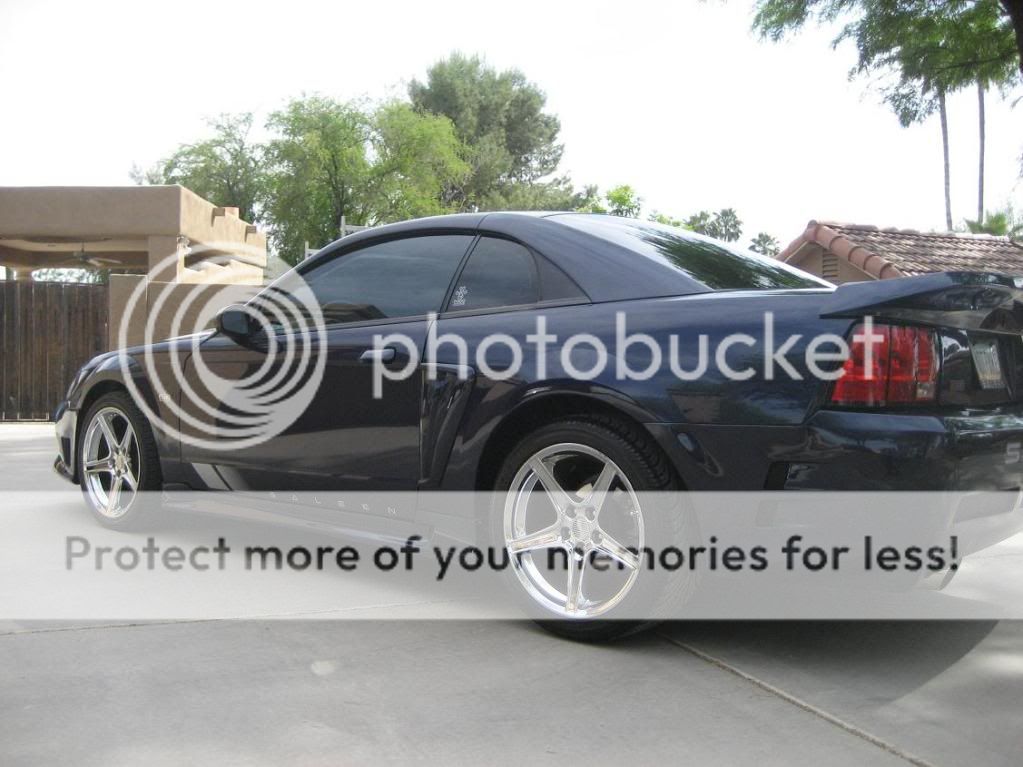 2001 Ford mustang saleen s281 for sale #6